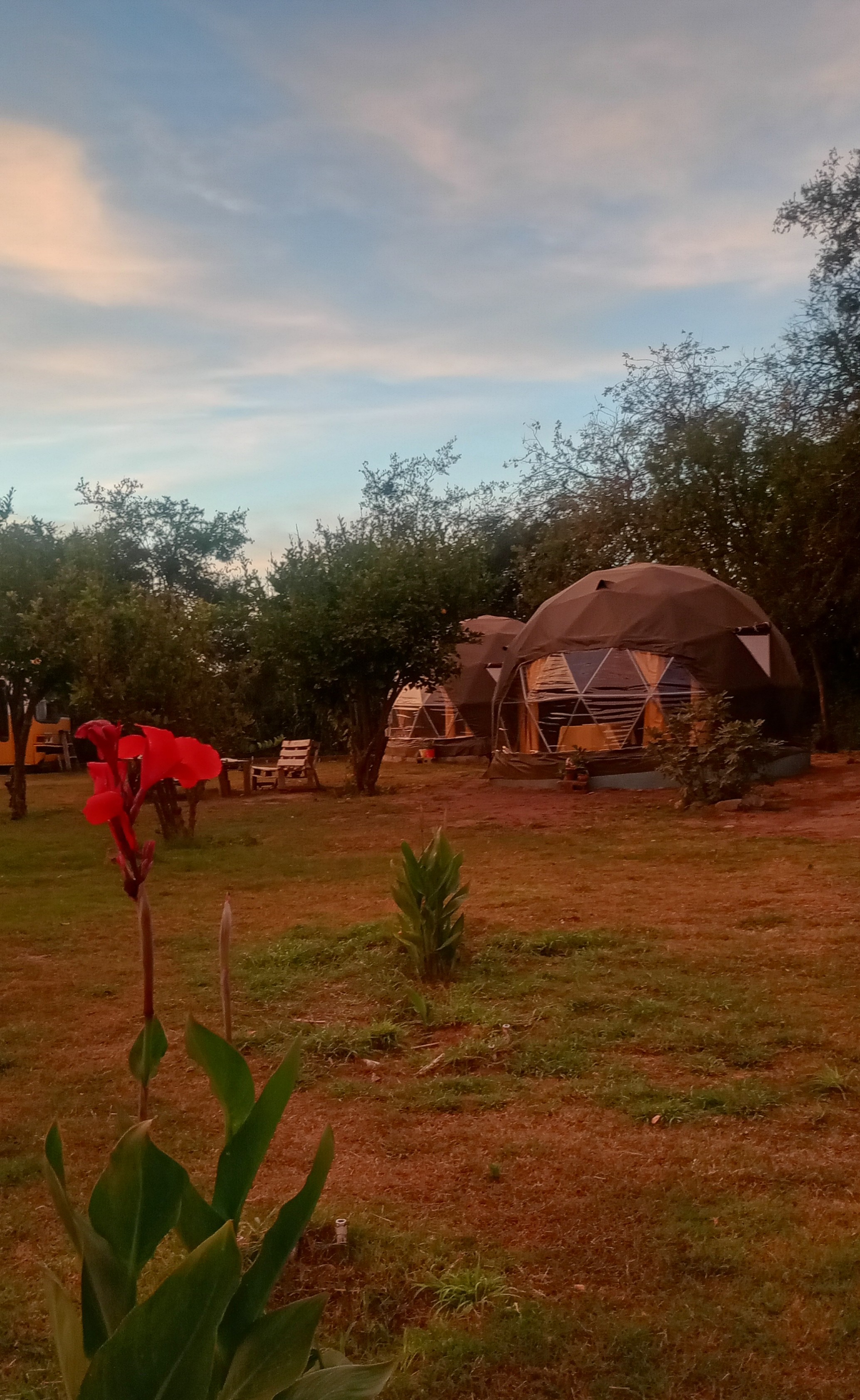 Glamping Las Higueras